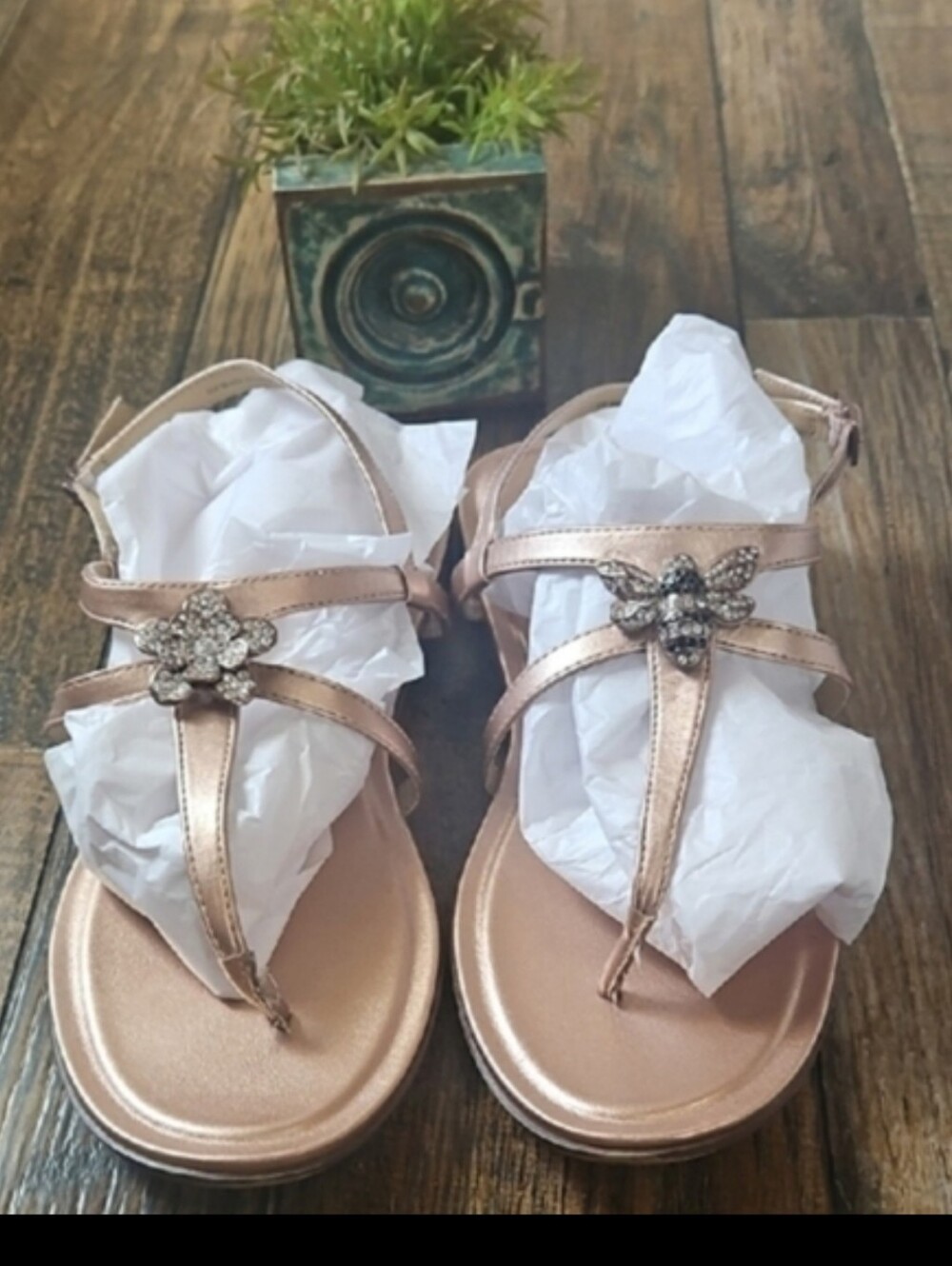 Naturalizer Tilly Women's Bronze Metallic Sandals with Bee & Flower Rhinestones.